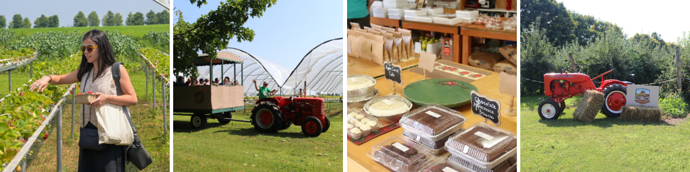 apple picking, tractor ride, baked goods
