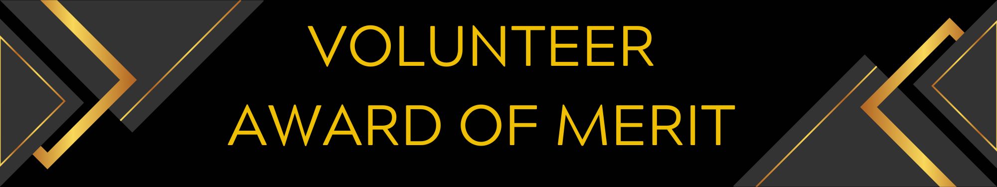banner with the words Volunteer Award of Merit